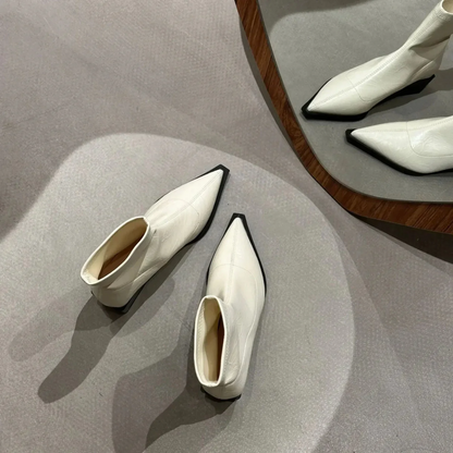 Ladies Low Heel Ankle Boots - Pointed Toe Style
