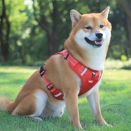 Comfortable No Pull Dog Harness - ModishWorld