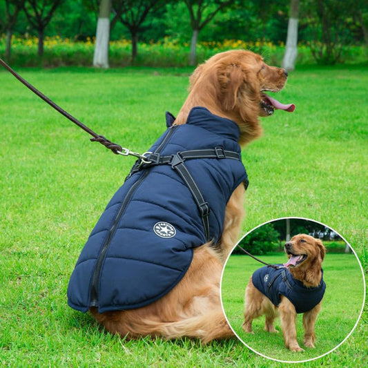 Warm Coat for Dogs - ModishWorld
