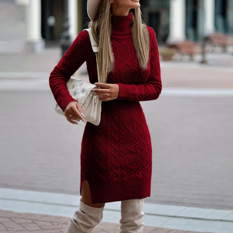 Women's Cozy Turtleneck Fitted Mini Dress