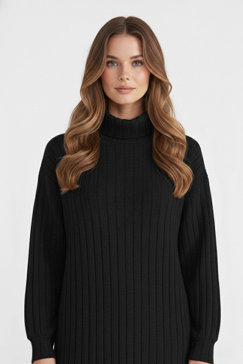 Fashionable Women's Roll Neck Stretch Dress