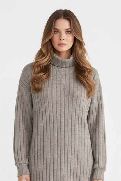 Fashionable Women's Roll Neck Stretch Dress - Modish World