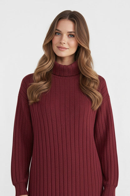 Fashionable Women's Roll Neck Stretch Dress